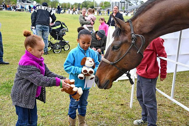 MARLEY'S ROUND UP-4-9-22-8190-DDeRosaPhoto