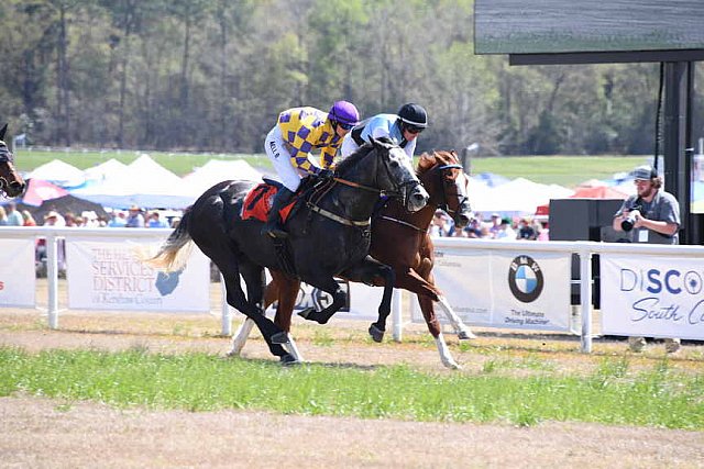 CAROLINA CUP-4-2-22-7251-DDeRosaPhoto