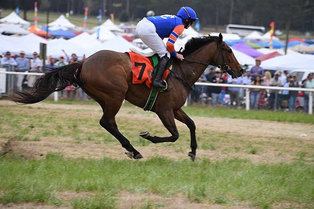CAROLINA CUP-4-2-22-7666-DDeRosaPhoto