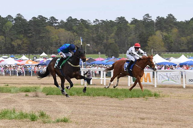 CAROLINA CUP-4-2-22-7782-DDeRosaPhoto