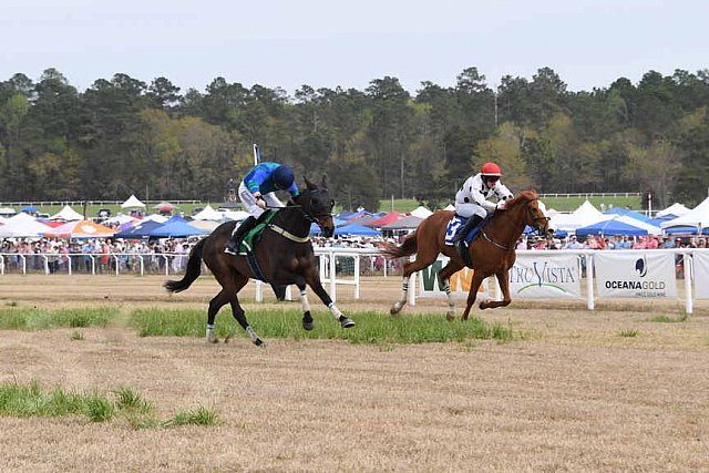 CAROLINA CUP-4-2-22-7783-DDeRosaPhoto