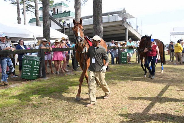 CAROLINA CUP-4-2-22-7850-DDeRosaPhoto