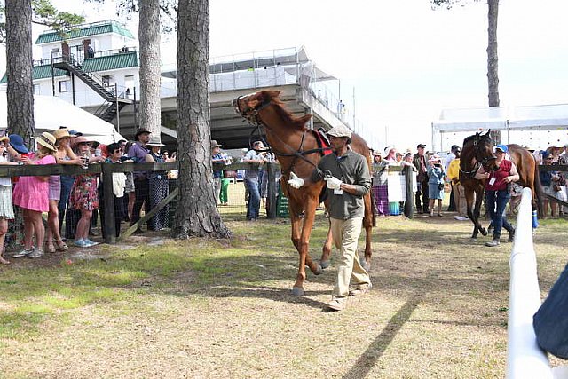 CAROLINA CUP-4-2-22-7863-DDeRosaPhoto