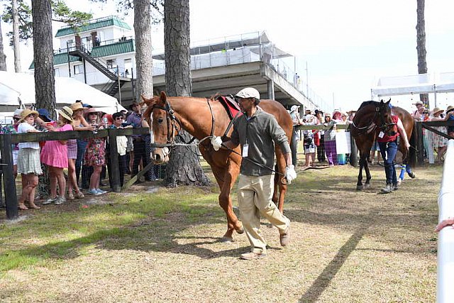 CAROLINA CUP-4-2-22-7864-DDeRosaPhoto
