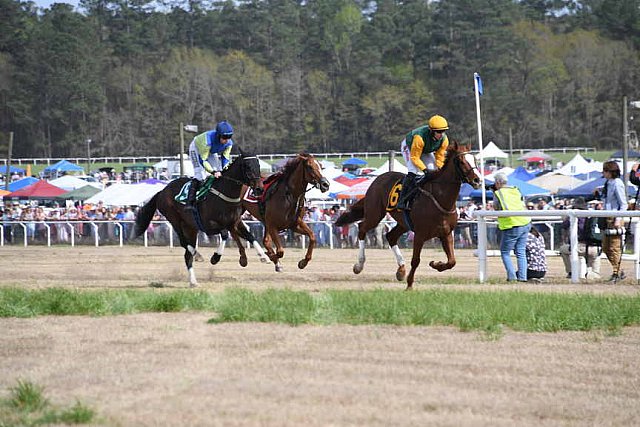 CAROLINA CUP-4-2-22-7937-DDeRosaPhoto