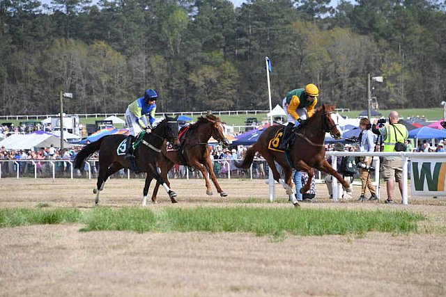 CAROLINA CUP-4-2-22-7939-DDeRosaPhoto