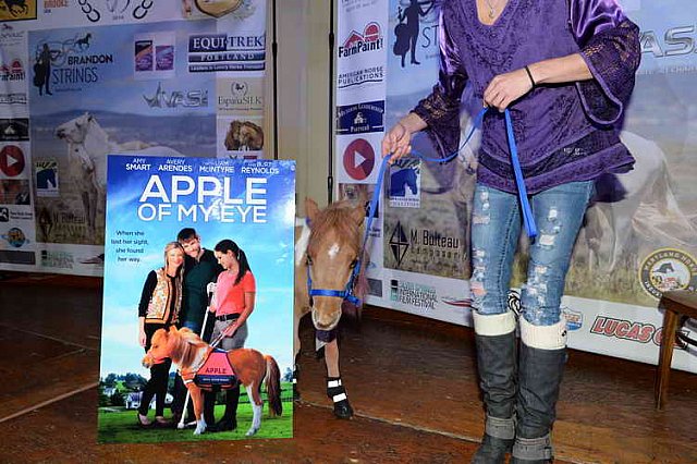 EQUUSFF-11-2016-8141--DDeRosaPhoto