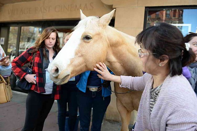 EQUUSFF-11-2016-8193--DDeRosaPhoto