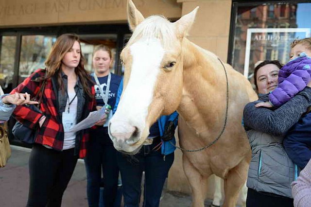 EQUUSFF-11-2016-8194--DDeRosaPhoto