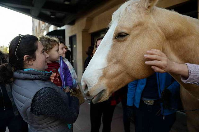 EQUUSFF-11-2016-8200--DDeRosaPhoto