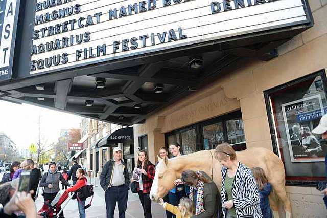 EQUUSFF-11-2016-8225--DDeRosaPhoto