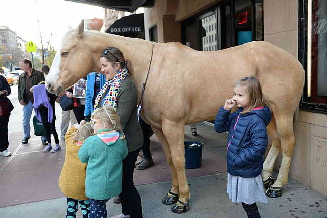EQUUSFF-11-2016-8235--DDeRosaPhoto