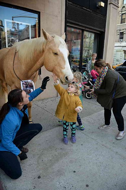EQUUSFF-11-2016-8239--DDeRosaPhoto