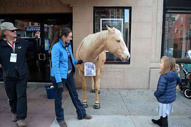 EQUUSFF-11-2016-8257--DDeRosaPhoto