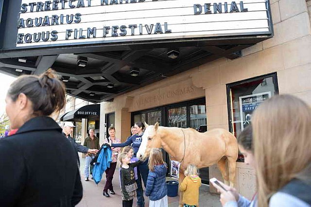 EQUUSFF-11-2016-8260--DDeRosaPhoto