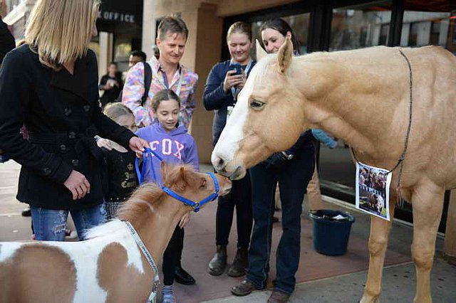 EQUUSFF-11-2016-8272--DDeRosaPhoto