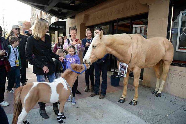 EQUUSFF-11-2016-8278--DDeRosaPhoto