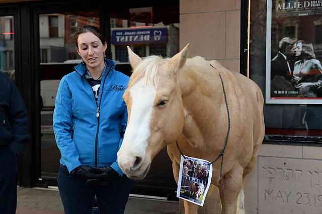 EQUUSFF-11-2016-8302--DDeRosaPhoto