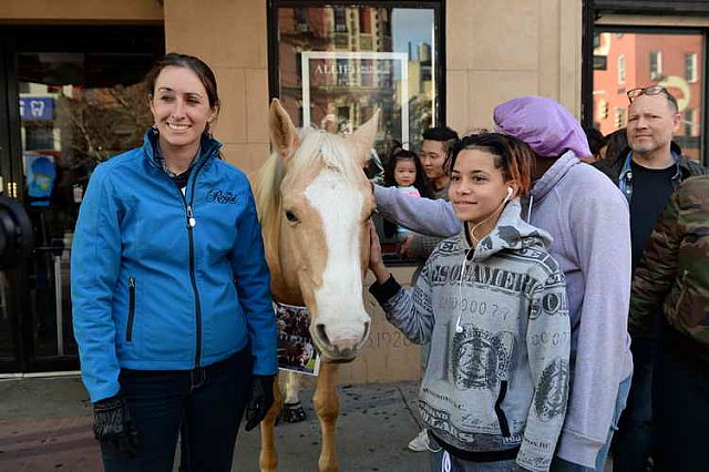 EQUUSFF-11-2016-8322--DDeRosaPhoto