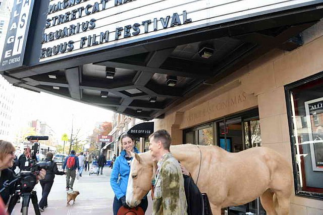 EQUUSFF-11-2016-8347--DDeRosaPhoto
