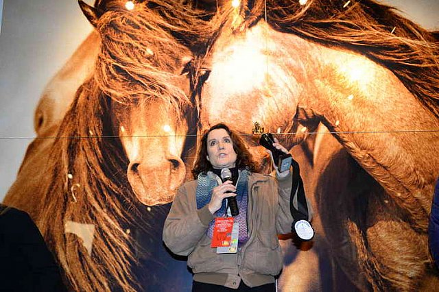 EQUUSFF-11-2016-8650-NinaGlaichevaPhoto