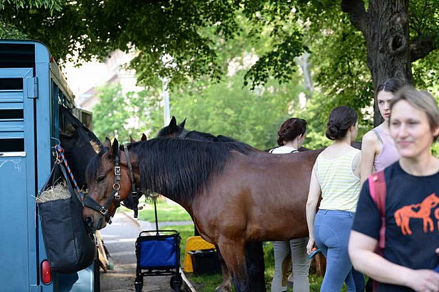 GALLOPNYC-5-22-2022-4132-DDeRosaPhoto