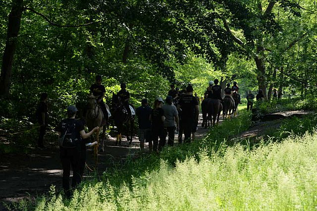 GALLOPNYC-5-22-2022-4230-DDeRosaPhoto