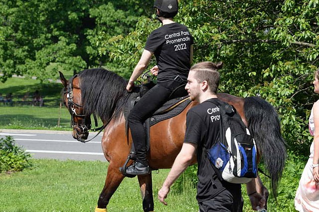 GALLOPNYC-5-22-2022-4252-DDeRosaPhoto