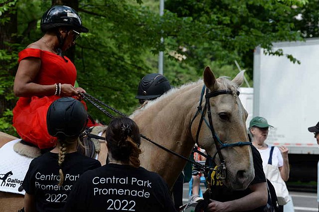 GALLOPNYC-5-22-2022-4276-DDeRosaPhoto