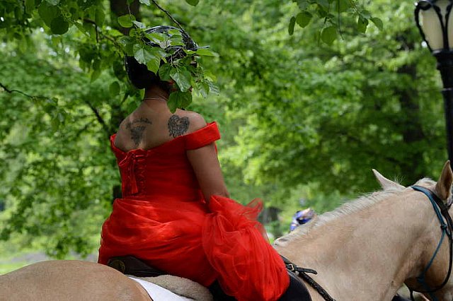 GALLOPNYC-5-22-2022-4299-DDeRosaPhoto