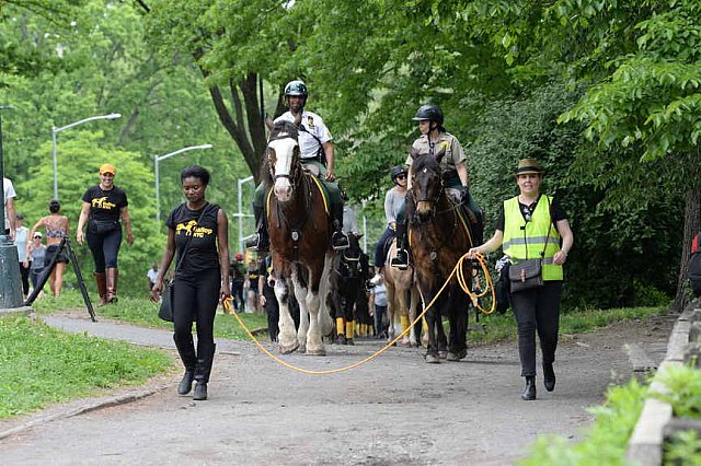 GALLOPNYC-5-22-2022-4314-DDeRosaPhoto