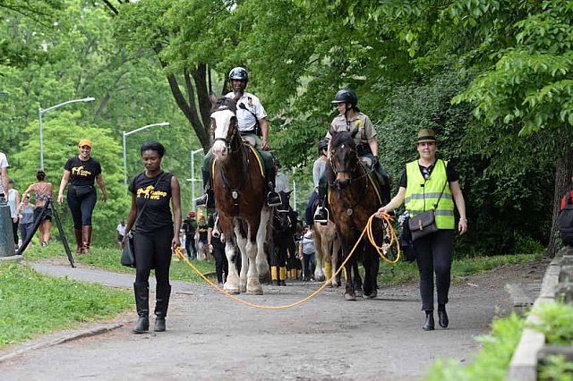 GALLOPNYC-5-22-2022-4315-DDeRosaPhoto
