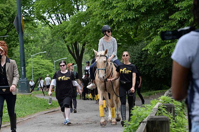 GALLOPNYC-5-22-2022-4325-DDeRosaPhoto