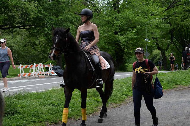 GALLOPNYC-5-22-2022-4342-DDeRosaPhoto