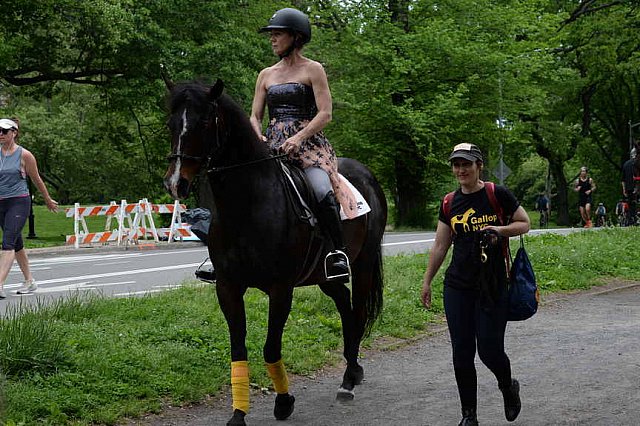 GALLOPNYC-5-22-2022-4343-DDeRosaPhoto