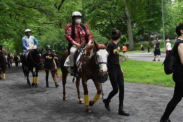 GALLOPNYC-5-22-2022-9575-DDeRosaPhoto