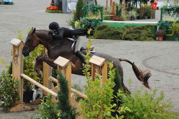 HITS-Hunters-9-11-11-3385-Sienna-PatriciaGriffith-DDeRosaPhoto.JPG