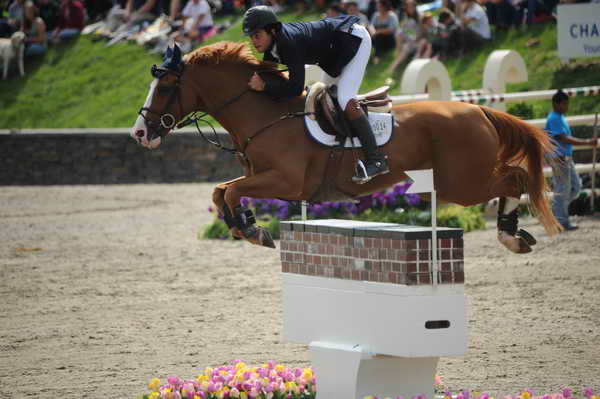HITS-Jumpers-9-11-11-4020-FatalisFatum-DanielBluman-DDeRosaPhoto.JPG