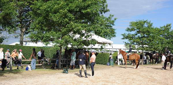 HC09-8-27-09-AroundGrounds-0566-DDeRosaPhoto.jpg