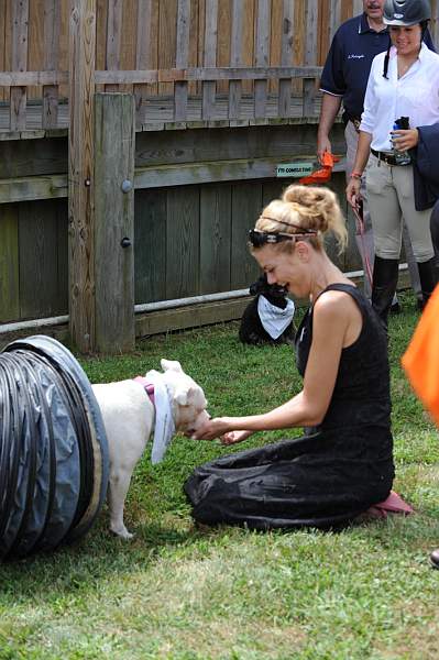 HC09-8-23-09-Celebrity-Dogs-0135-DDeRosaPhoto.jpg