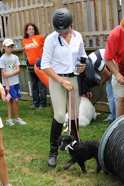 HC09-8-23-09-Celebrity-Dogs-0146-DDeRosaPhoto.jpg