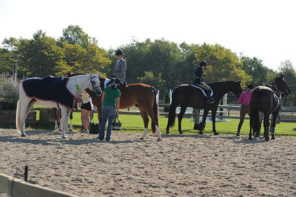 HC-10-29-10_0460-DDeRosaPhoto.jpg