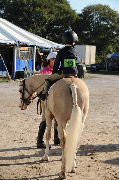 HC-10-29-10_0470-DDeRosaPhoto.jpg