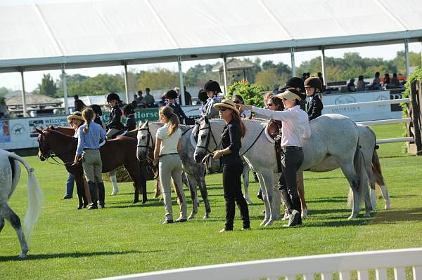 HC-10-29-10_0511-DDeRosaPhoto.jpg