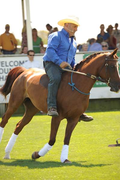 HC-10-29-10_0616-DDeRosaPhoto.jpg