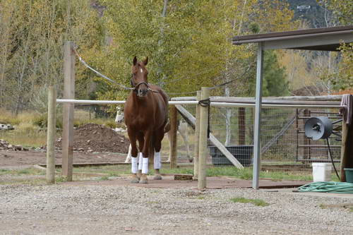 HHB2-10-13-12-0799-DDeRosaPhoto
