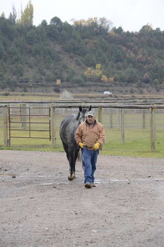 HHB1-10-13-12-9334-DDeRosaPhoto