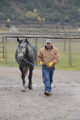 HHB1-10-13-12-9336-DDeRosaPhoto