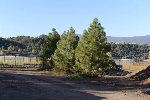 HHB2-10-14-12-2080-DDeRosaPhoto