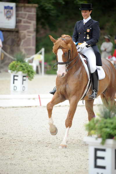 CatherineHaddadStaller-Winyamaro-USEF_2010_WEG_SelTrials_DER_6042-DDeRosaPhoto.jpg